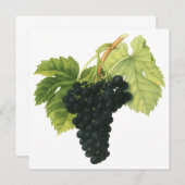  rode wijn, organisch wijndruivencluster, voedings (Voorkant / Achterkant)