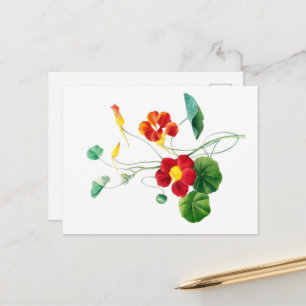 Rode Wilg II Reverie: Vintage Botanisch Briefkaart