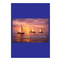 Rode Wit & Cruise Control Poster | Grappig Patriot