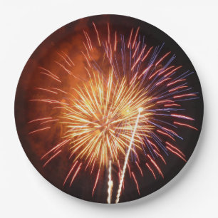 Rode, Witte en Blauwe Vuurwerk I Patriottisch Papieren Bordje