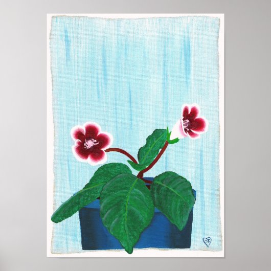Rode Witte Gloxinia Afrikaans Viooltje Bloem Poste Poster (Voorkant)