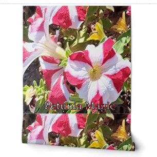 Rode & Witte Petunia Bloemenbehang – Elegant Nat Behang