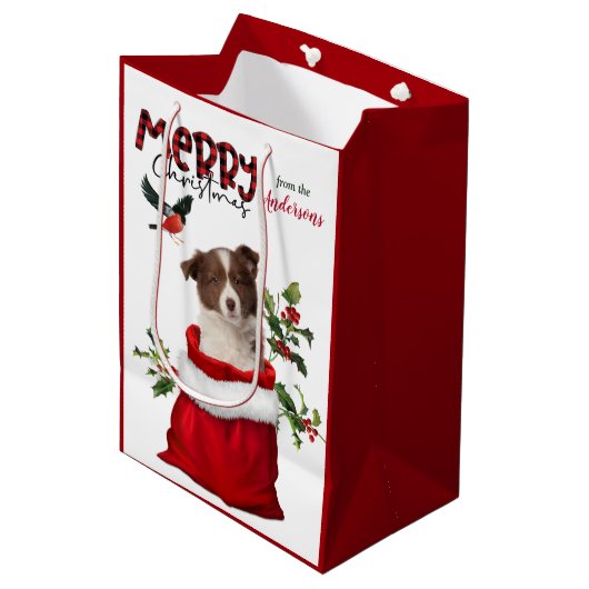 Rode witte rand Collie Puppy Dog Kerstmis Medium Cadeauzakje (Voorkant Gekanteld)