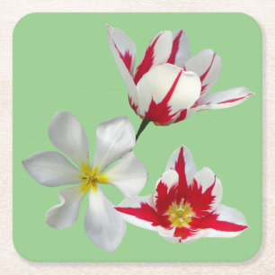 Rode wittulpen maken papieren Onderzetter dicht