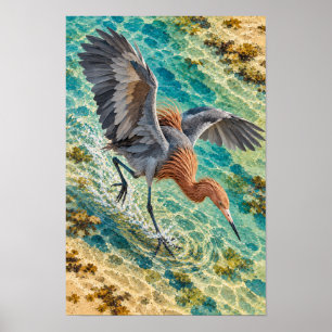 Rode Wouw - Zuid-Texas kustvogelkunst Poster