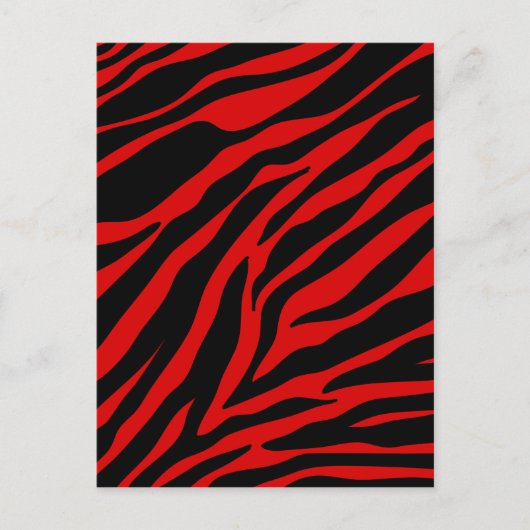 rode zebra briefkaart (Voorkant)
