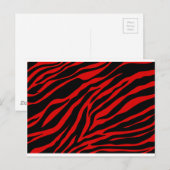 rode zebra briefkaart (Voorkant / Achterkant)