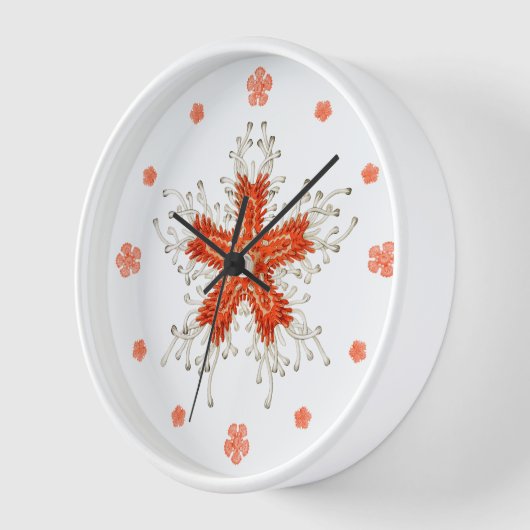 Rode zeester wandklok (Hoek)