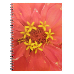 Rode Zinnia Macro Notitieboek