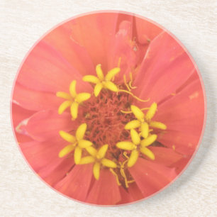 Rode Zinnia Macro-Onderzetters Zandsteen Onderzetter