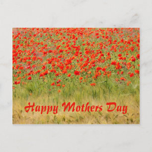 rode zomerbloem, moedersdag briefkaart