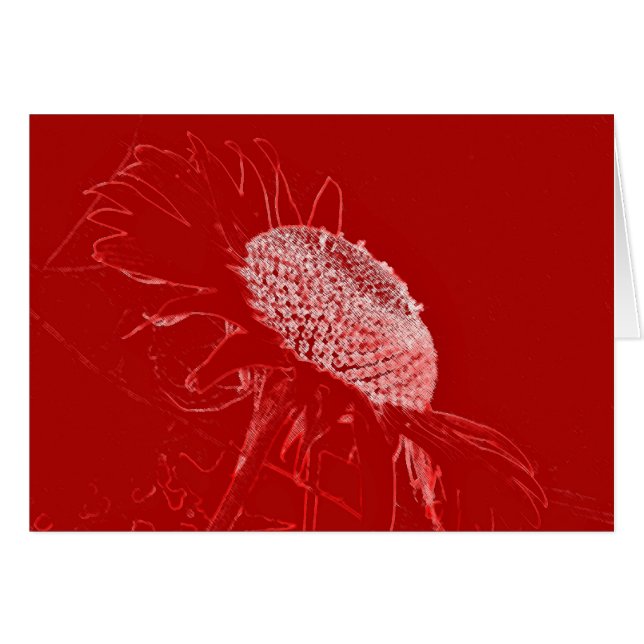 Rode zonnebloem (Voorkant Horizontaal)