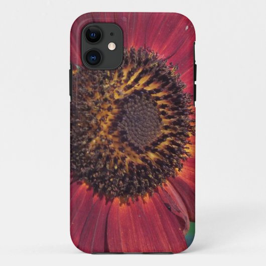 Rode zonnebloem Case-Mate iPhone case (Achterkant)