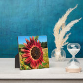 Rode zonnebloem fotoplaat (Insitu)