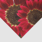 Rode zonnebloemen en blauwe hemden - Weefselpapier Tissuepapier (Detail)