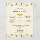 Rode Zonneschijf Waterverf Flyer (Achterkant)