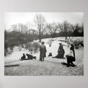 Rodelen in Central Park, 1906. Antieke foto Poster