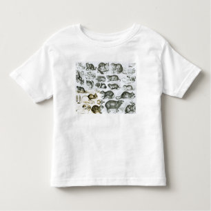 Rodentia- knaagdieren kinder shirts