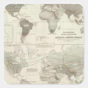 Rodentia, Ruminantia Vierkante Sticker