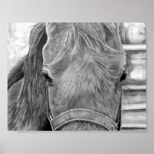 Rodeo afbeelding poster