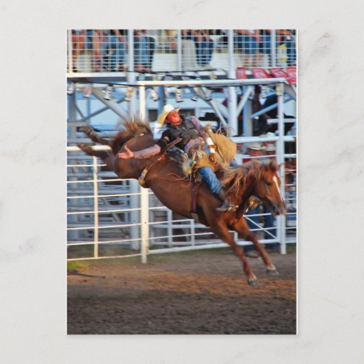 Rodeo! Briefkaart (Voorkant)