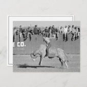 Rodeo Bull Rider, 1940 Briefkaart (Voorkant / Achterkant)