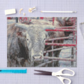 Rodeo Bull Rustic  grijs rood land Western Tissuepapier (Craft)