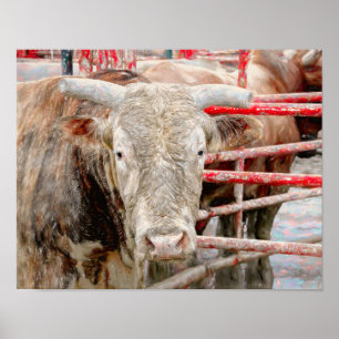 Rodeo Bull Rustic Western land Poster