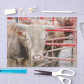 Rodeo Bull Rustic Western land Tissuepapier (Craft)