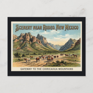 Rodeo, New Mexico - Ossenrit Vintage Ansichtkaart Briefkaart