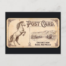 Rodeo, New Mexico - Paard Vintage Ansichtkaart