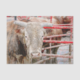 Rodeo Stier Rustiek Landelijk Westers Tissuepapier