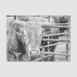Rodeo Stier Rustiek Zwart en Wit Country Western Tissuepapier