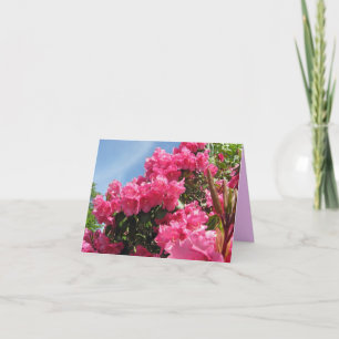 Rododendrons - Vancouver, neemt nota BC van Kaart