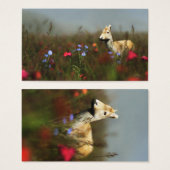 Roe dans un pré Signets (Devant & derrière)