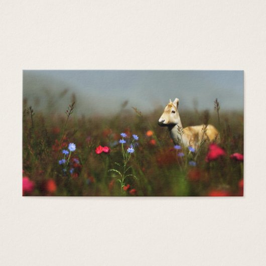 Roe dans un pré Signets (Devant)