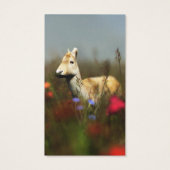 Roe dans un pré Signets (Dos)