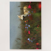 Roe dans un puzzle de prairie (Vertical)