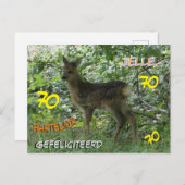 Roe Deer in Forrest Cust. briefkaart voor 70-jarig (Voorkant / Achterkant)