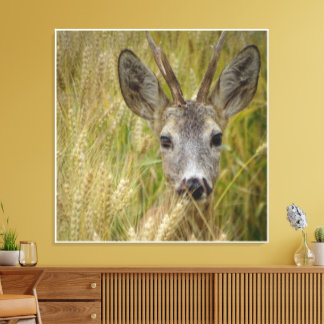 Roe Deer in Tarweveld - Natuur Fotografie Print