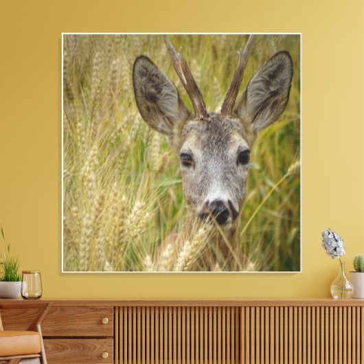 Roe Deer in Tarweveld - Natuur Fotografie Print (Insitu (Woonkamer))