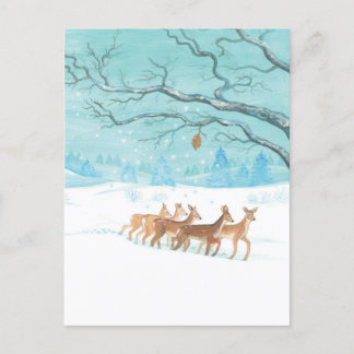 Roe Deer Winter Briefkaart
