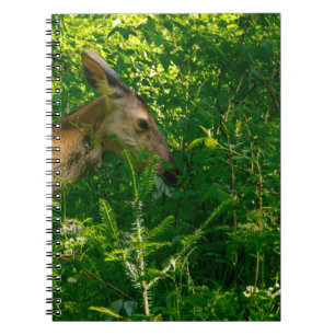 Roe herten in het bos. notitieboek