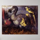  Roelant Savery Saverys Dodo Poster (Voorkant)
