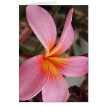 roemeense datum bloesems rsvp kleurrijke chic