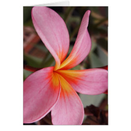 roemeense datum bloesems rsvp kleurrijke chic