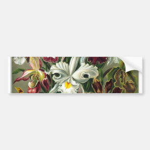roemeense datum bloesems rsvp kleurrijke chic bumpersticker