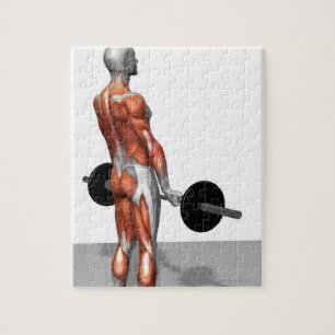 Roemeense deadlift legpuzzel