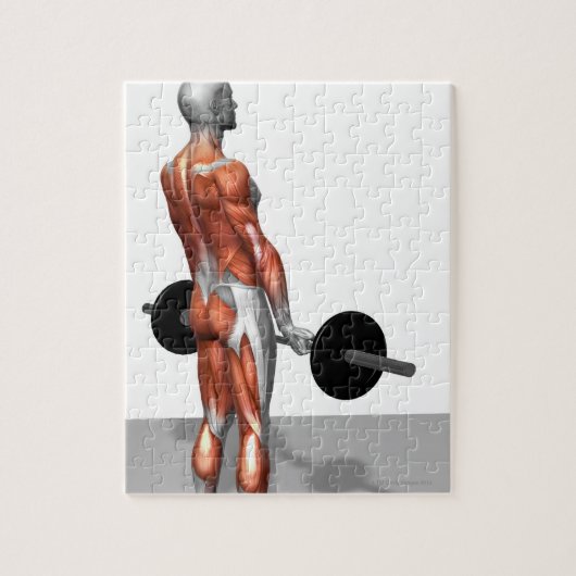 Roemeense deadlift legpuzzel (Verticaal)