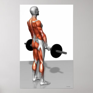 Roemeense deadlift poster